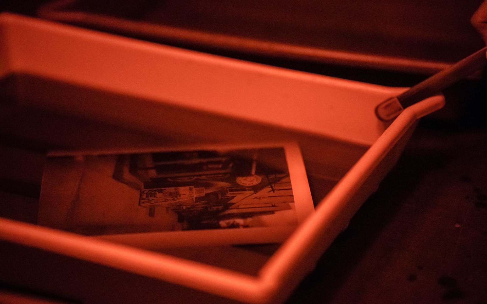 Photograph developing in a tray under red darkroom safelight